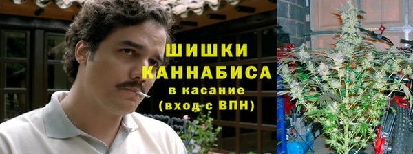 хмурый Пестово